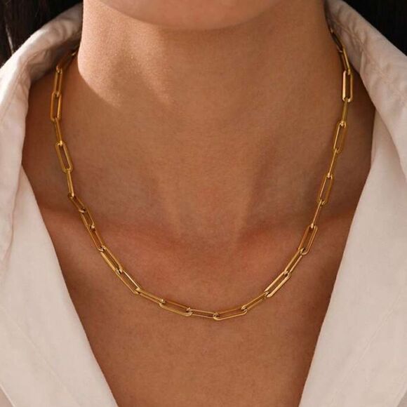 Anthropologie Jewelry - Trendy style chain necklace A1052